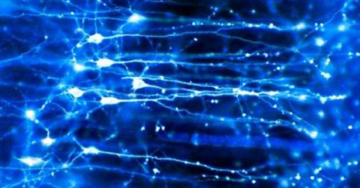 Osteopatia e Terapie Integrate - Kiniesologia